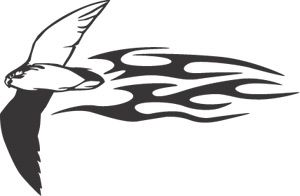 Animal Flames-0095b-SGD