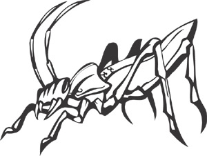 Predatory Insects