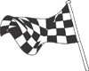 Racing Checkered Flags-cflag_019-SGD