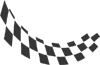 Racing Checkered Flags-cflag_041-SGD